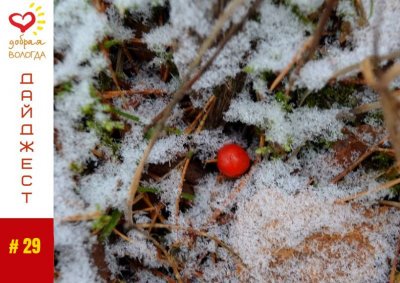 «Добрый дайджест» #29